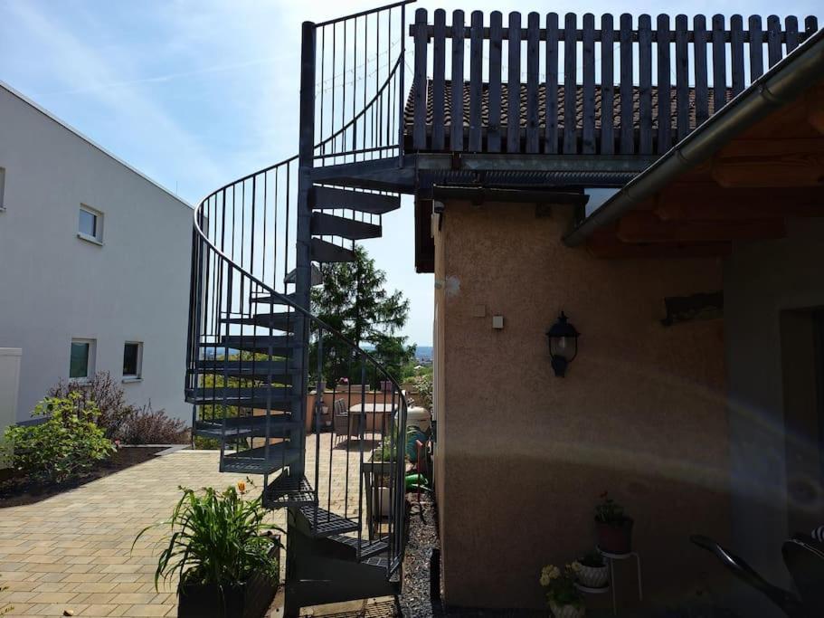 Blick Ueber Dresden - Terrasse - 3 Zimmer - Modern Renoviert Esterno foto